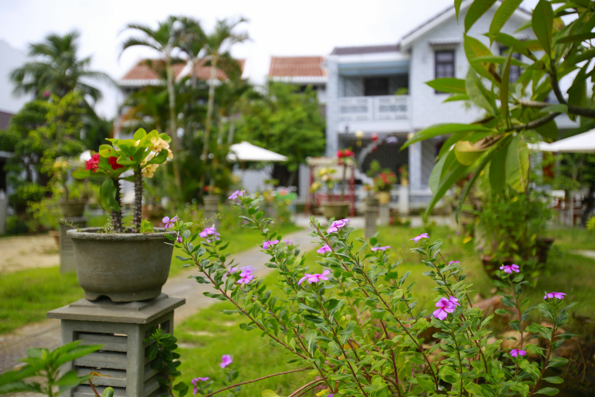 Mr Tho Garden Villas Хой Ан Екстериор снимка
